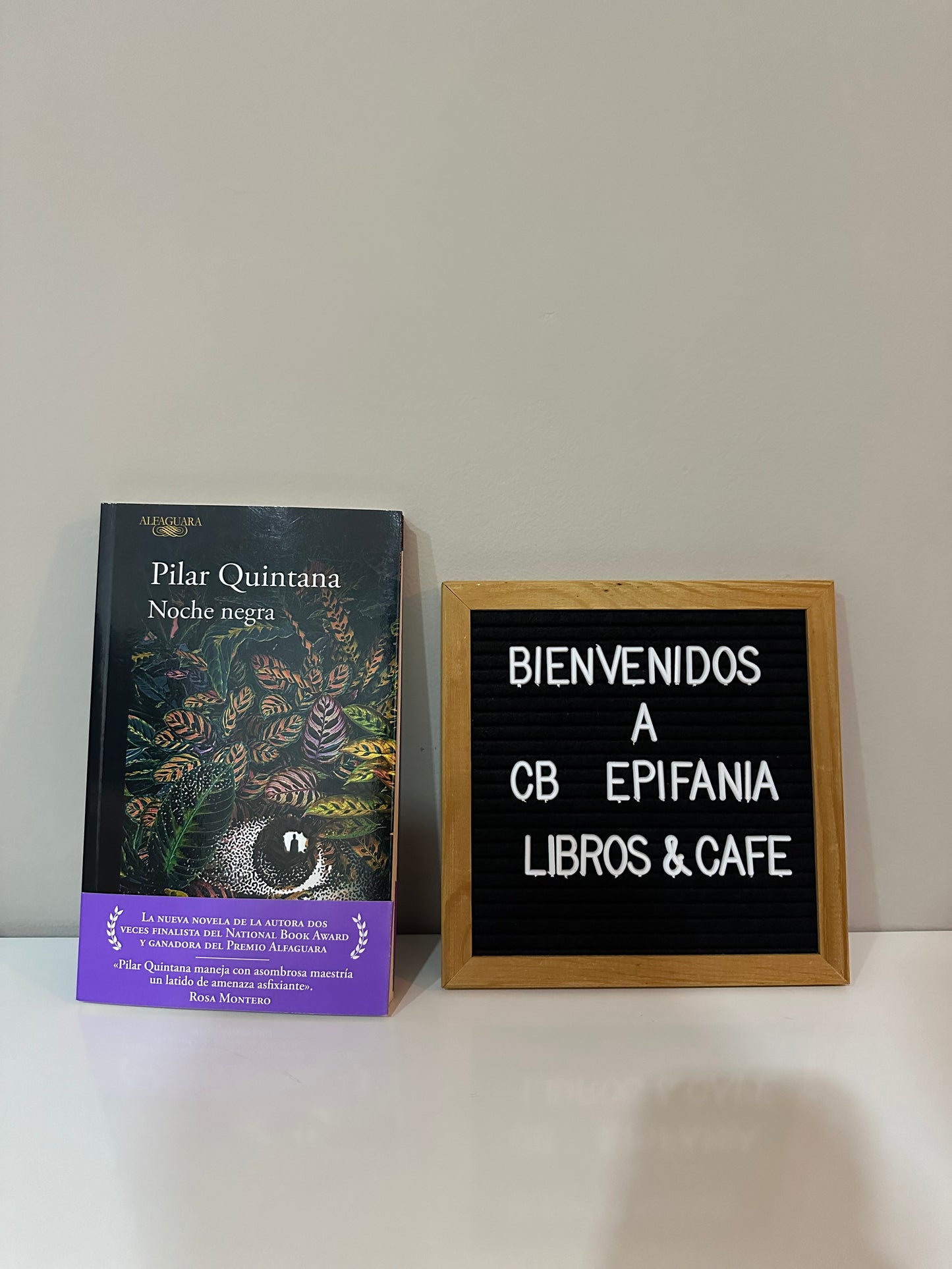 Noche negra - Pilar Quintana