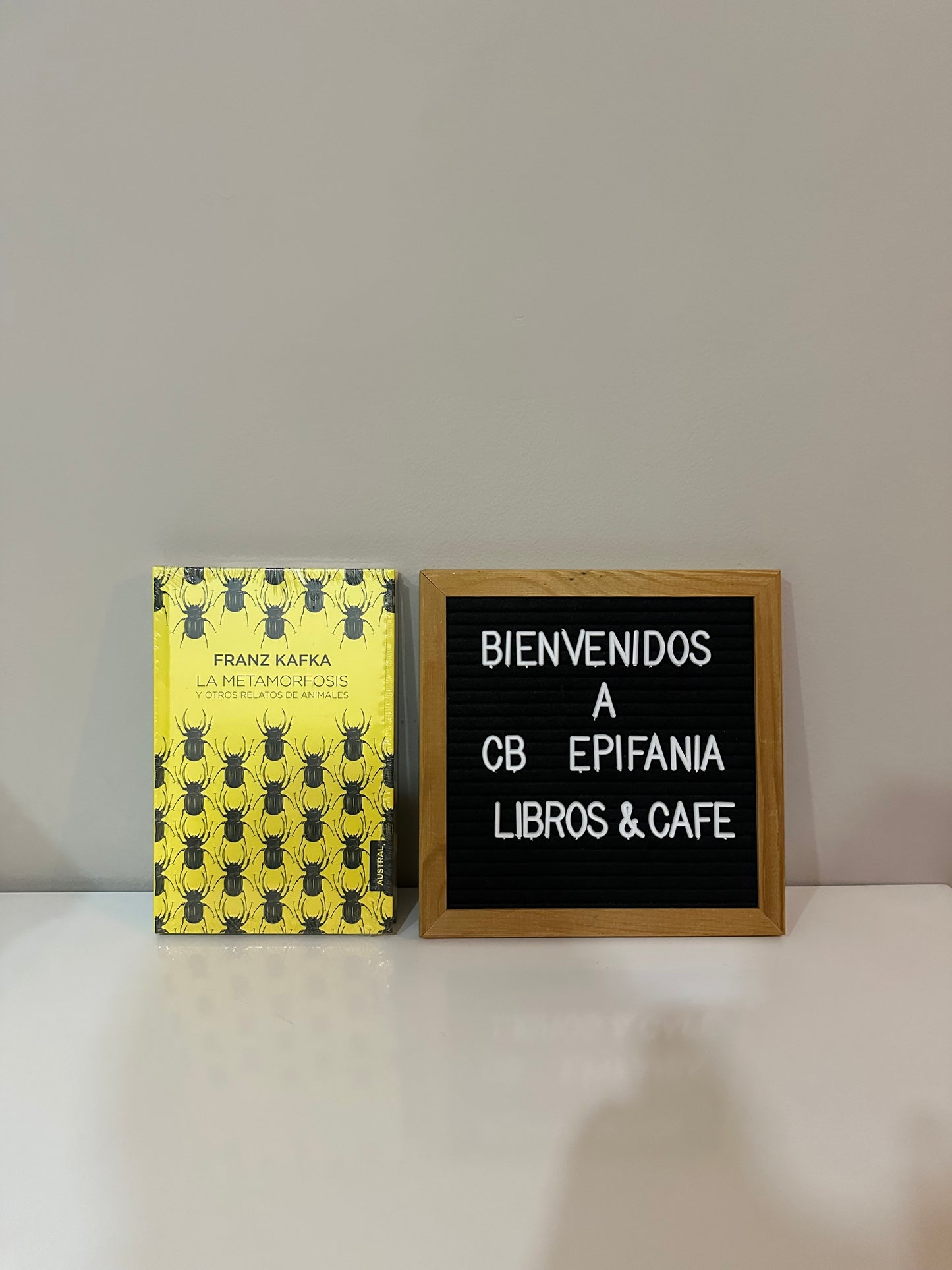 La metamorfosis - Franz Kafka